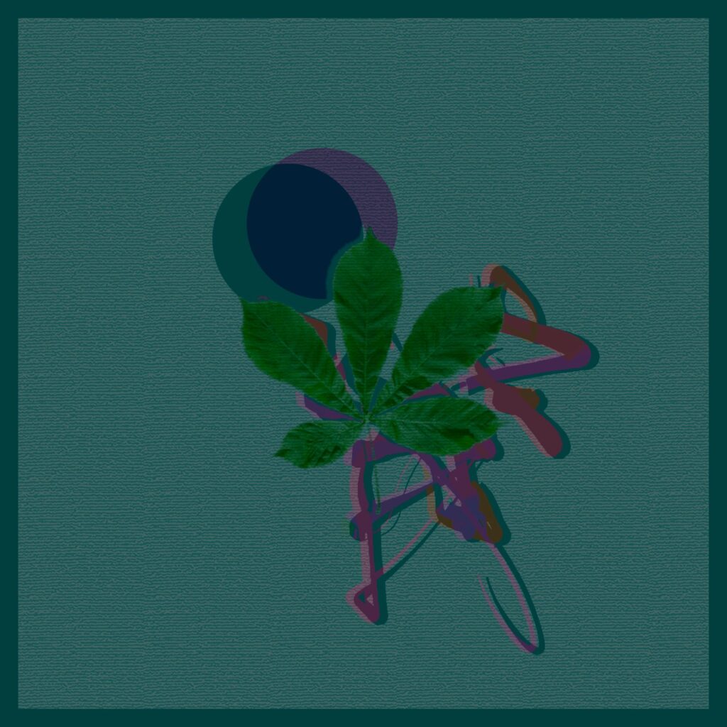 CausaliDox – Coda [Diffuse Reality / Teorema – TE0008] [2020]