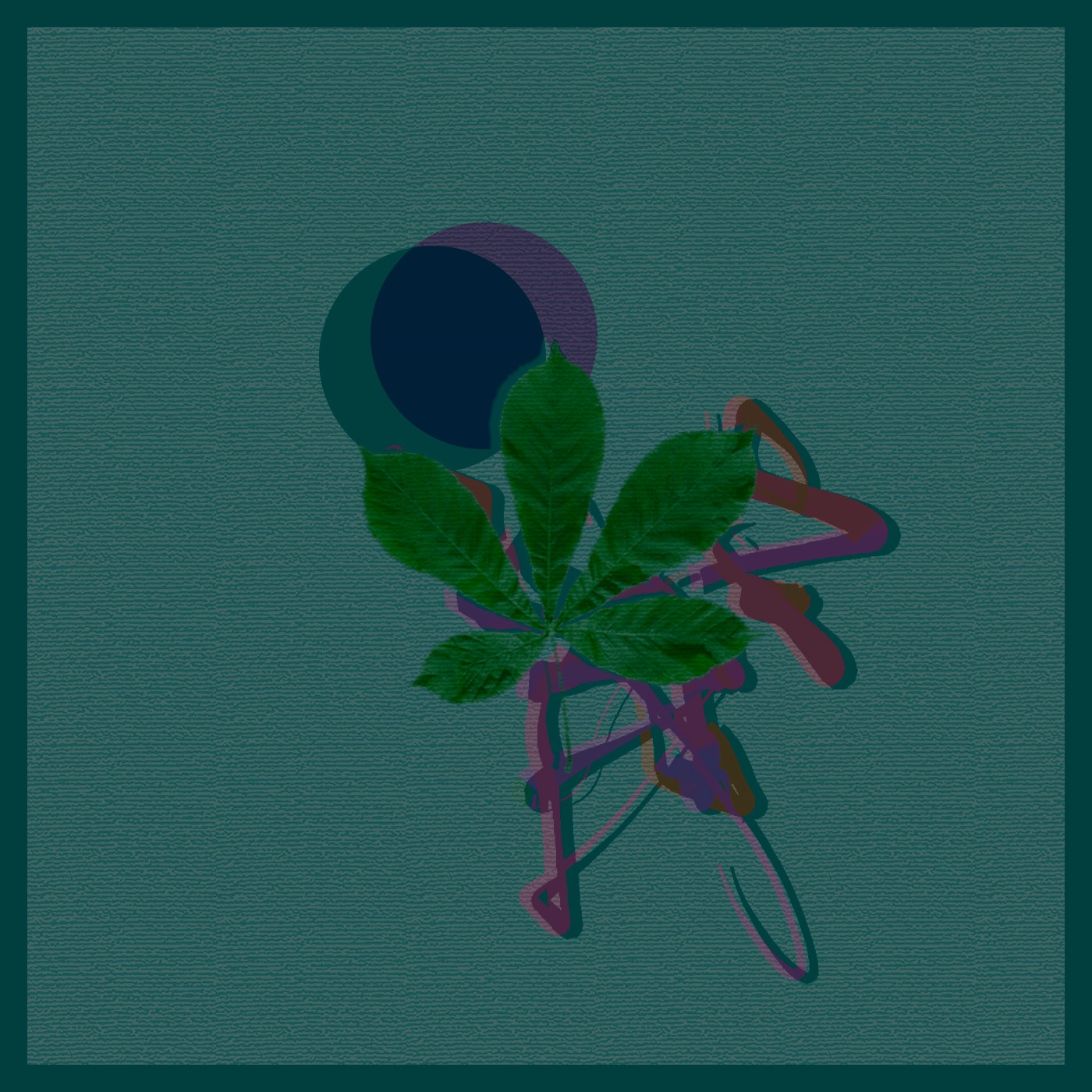 CausaliDox – Coda [Diffuse Reality / Teorema – TE0008] [2020]