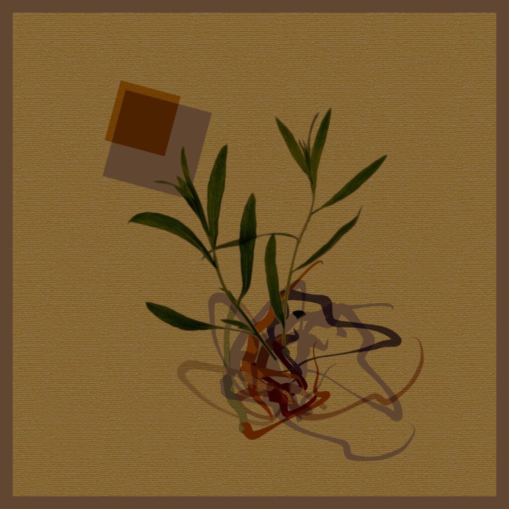 CausaliDox – Consensus Reality [Diffuse Reality / Teorema – TE0018] [2021]