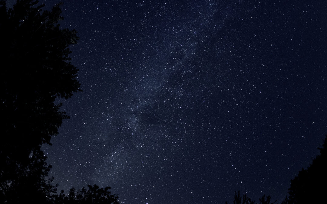 A Journey Through Our Cosmic Neighborhood
