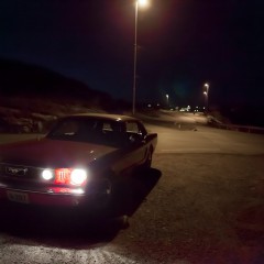 A mustang in the night
