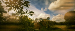 Greenwich Dream