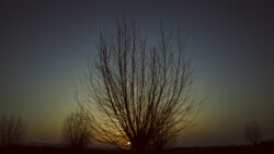 On the cusp of spring