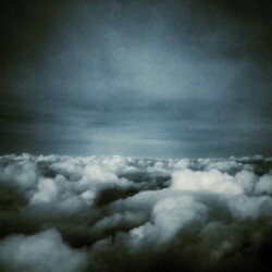 "...no hope, no harm, just another false alarm..." Dream