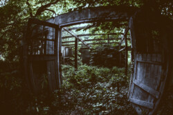 Location Scouting distel hxxx video