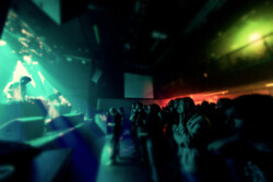 BarnOwl_013_220913_MarcusMoonen2