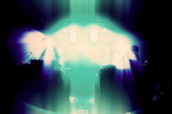 BarnOwl_013_220913_MarcusMoonen4