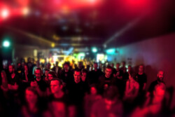 Distel_013_220913_MarcusMoonen10