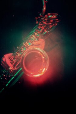 Distel_013_220913_MarcusMoonen4