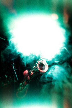 Distel_013_220913_MarcusMoonen6