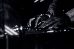 Distel_013_220913_MarcusMoonen7